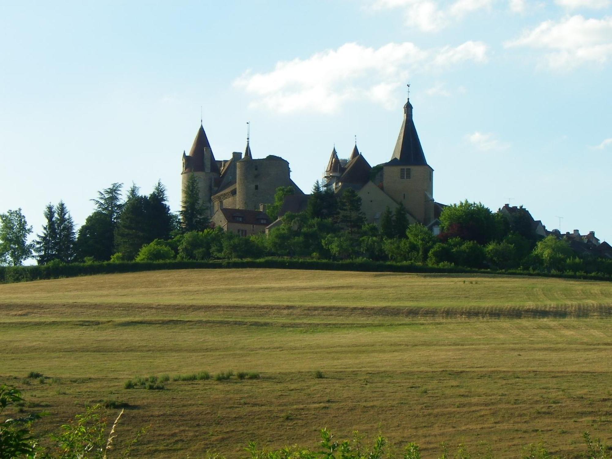 Le Cottage Du Chateau Chaudenay-le-Chateau Luaran gambar